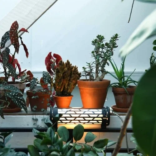 Aplique de pared Belleville Mini Coal para hoteles