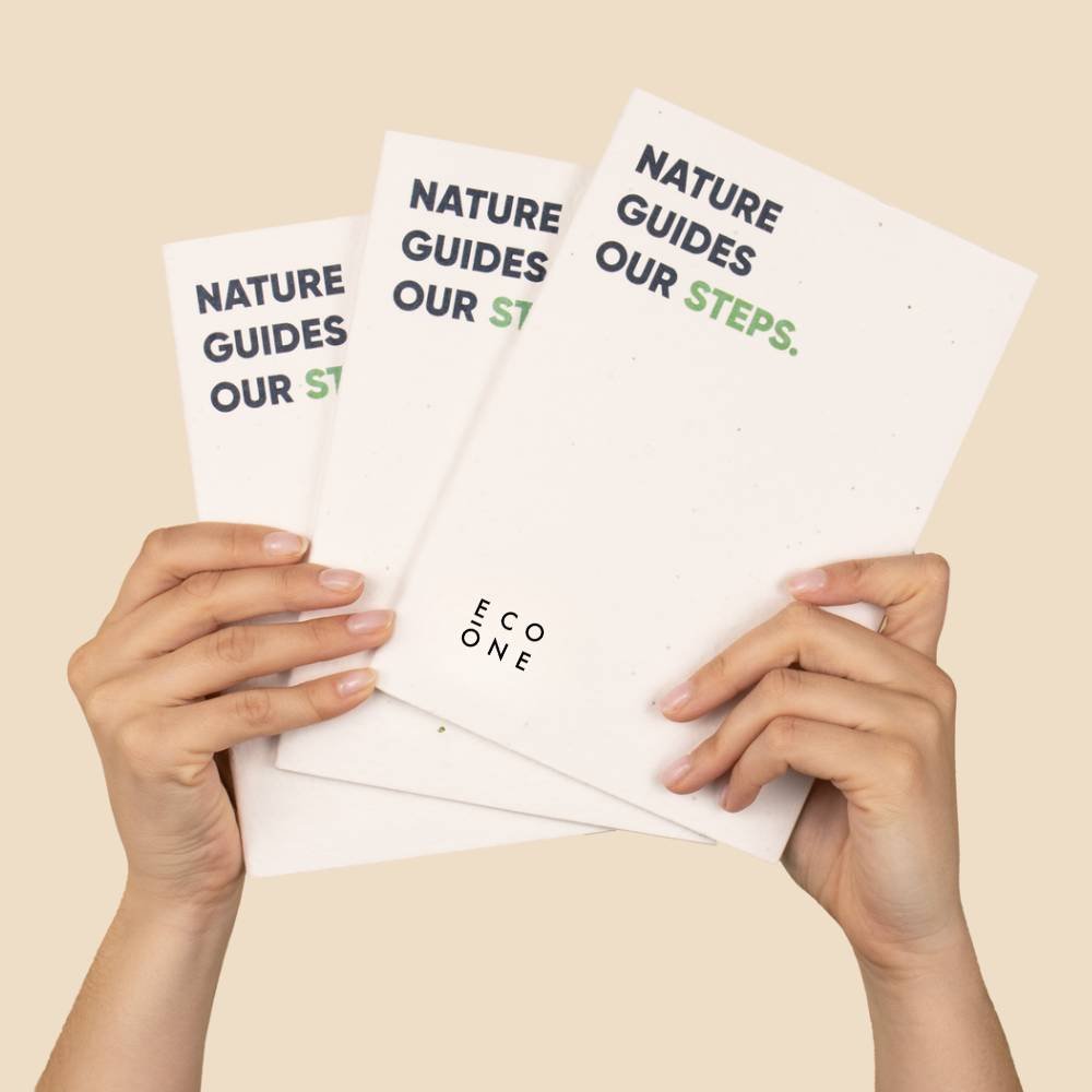 Cuaderno SHON para hoteles