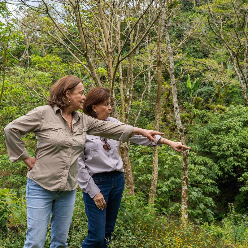Café de especialidade Caseta – Nicarágua Dipilto – imagem 2
