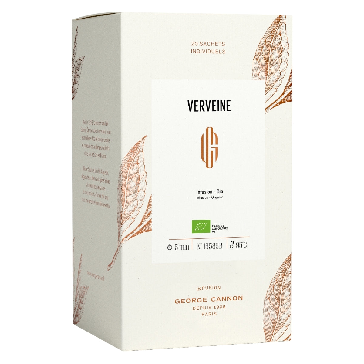 Verveine