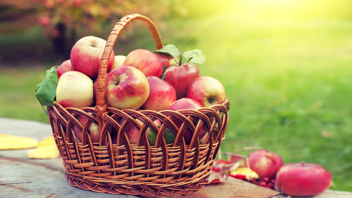 Manzana