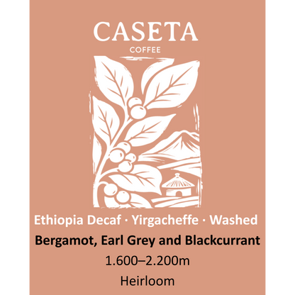 Café de especialidade Caseta – Etiópia Yirgacheffe Descafeinado – imagem 3