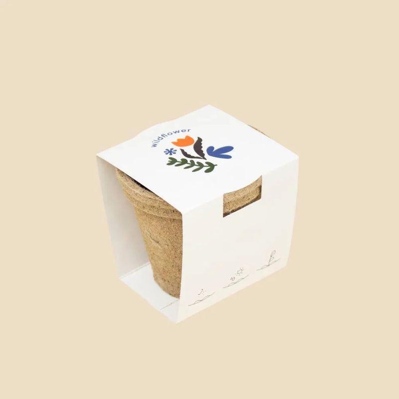 Kit COCOON para hotéis