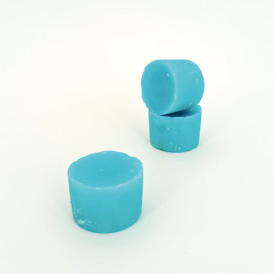 Biotraitement pour les urinoirs BIOCAN BLOC ORIGINAL