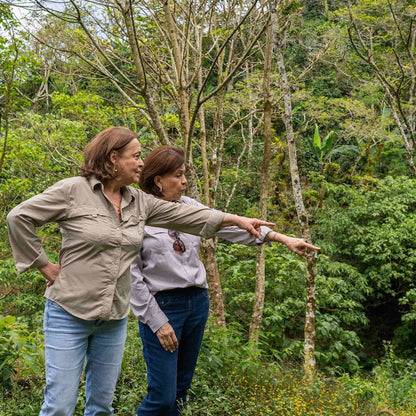 Café de especialidade Caseta – Nicarágua Dipilto – imagem 2
