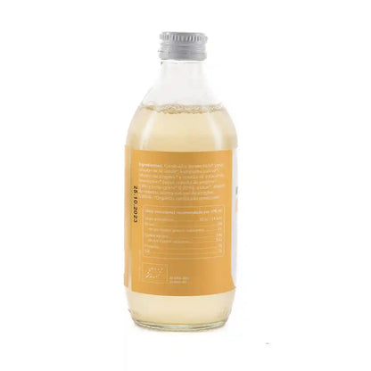 Kombucha ECO Jengibre y lemongrass 330 ml para hoteles