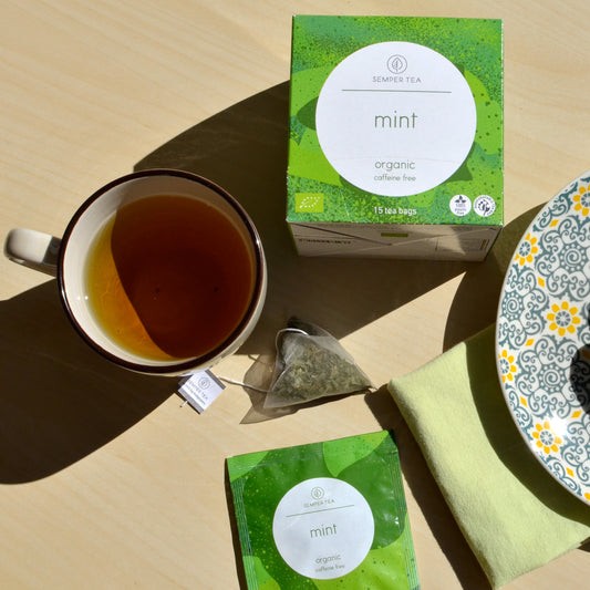 Sachets de thé pyramidaux menthe en étui