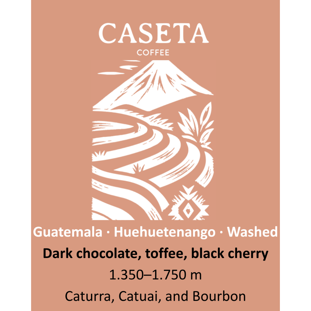 Café de especialidade Caseta – Guatemala Huehuetenango – imagem 3