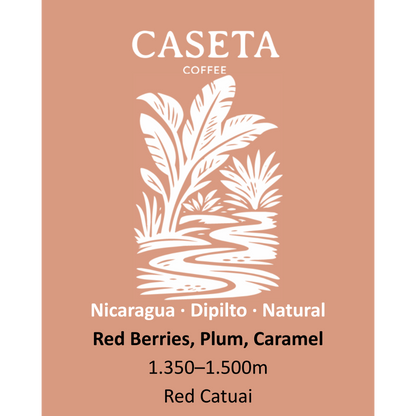 Café de especialidade Caseta – Nicarágua Dipilto – imagem 3