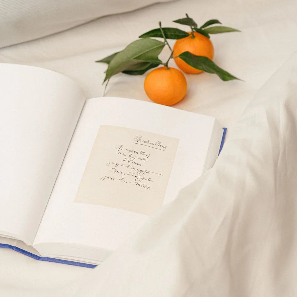 Novelas en distintos idiomas para hoteles