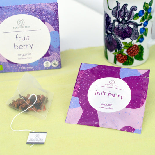 Fruit Berry pyramides ensachées en étui
