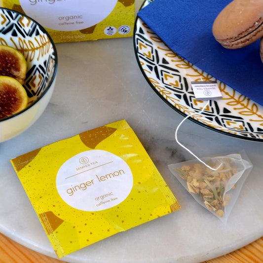 Pyramides individuelles de citron-gingembre en boîte