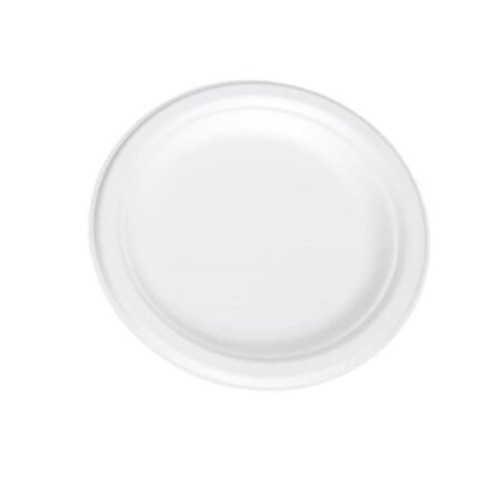 Platos biodegradables 22 cm